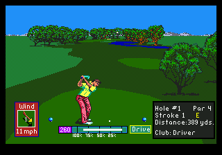 Скриншот игры PGA Tour Golf